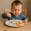 Skoopy Dining Utensil